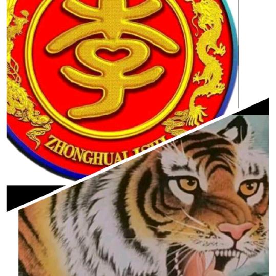 《钻天豹》物资回收
