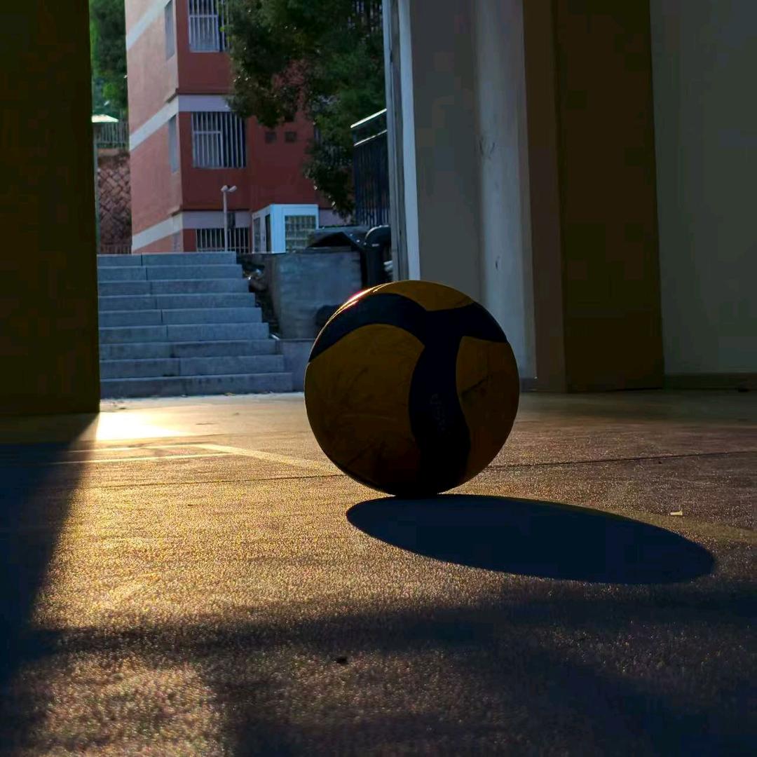 🏐没有感情的机器人