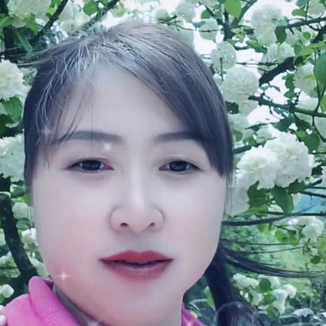 仙