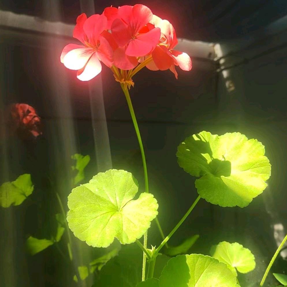 塔卓嘎仓🍀
