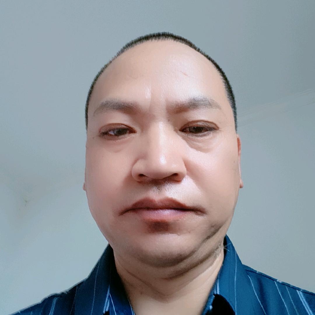 兔飞猛进