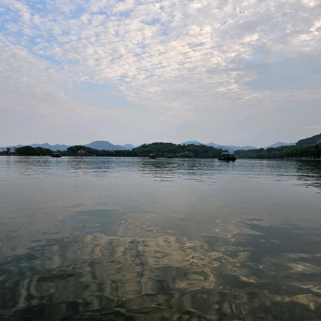 瑰意