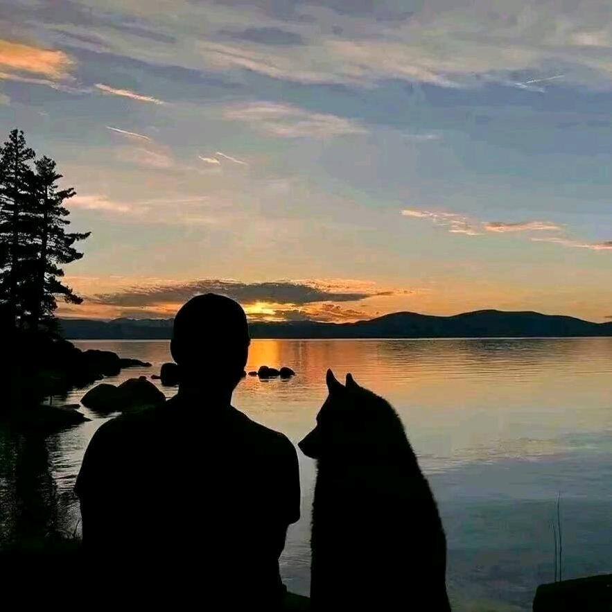 来一把下饭的操作