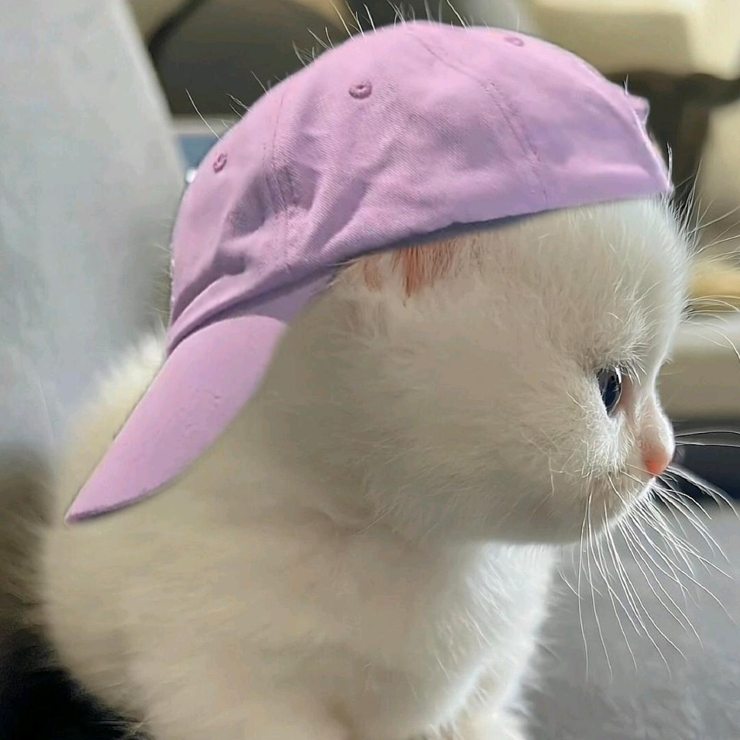 哎一古