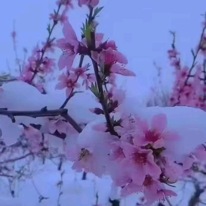 ²⁰²⁵এ᭄归零꧔ꦿ᭄