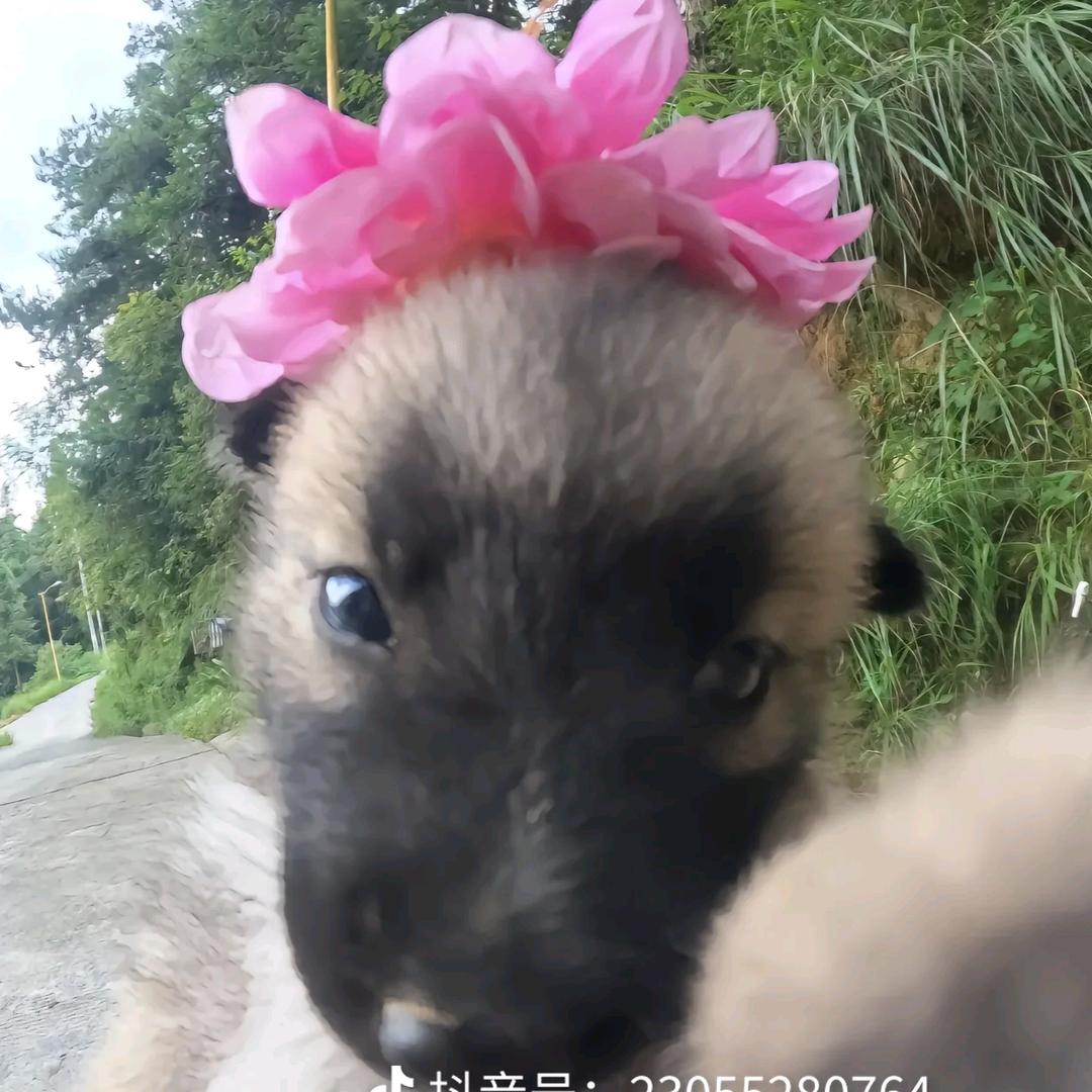 我叫鱼鱼涵