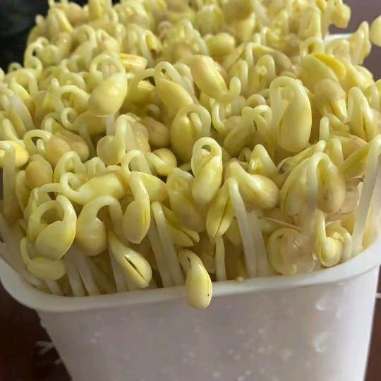糖豆爱追剧