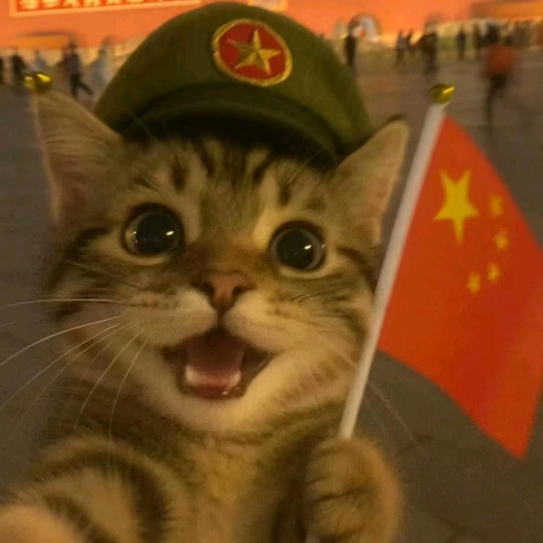 是猫猫大人呀.🎉