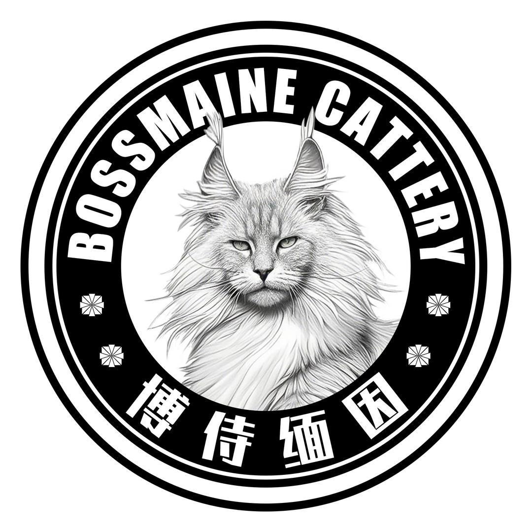 BossMaine｜博侍缅因猫舍·BMC