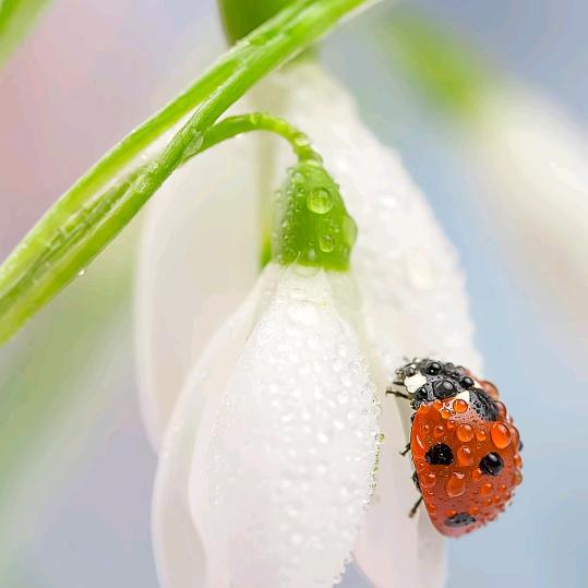 🌼᭄好运ꚸ加满Չᐝ࿐