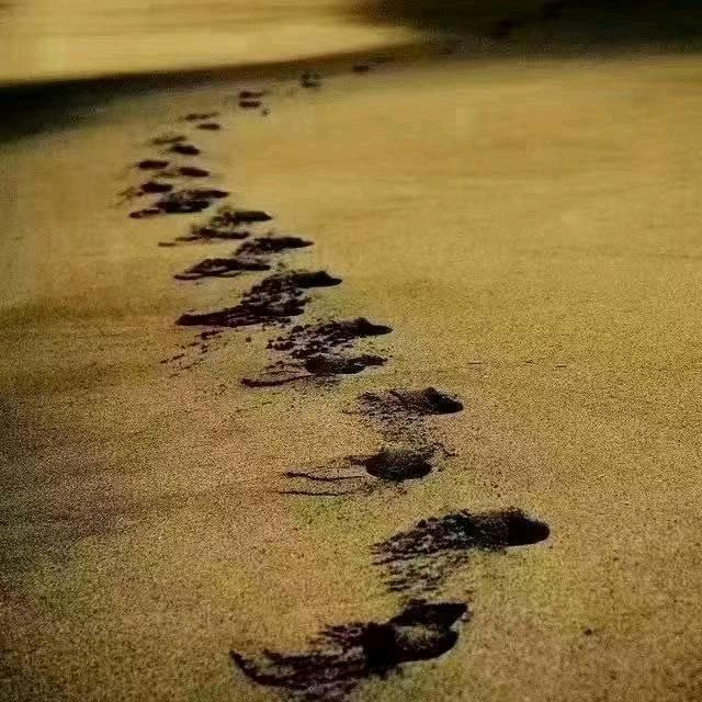 轮选49行者小巴