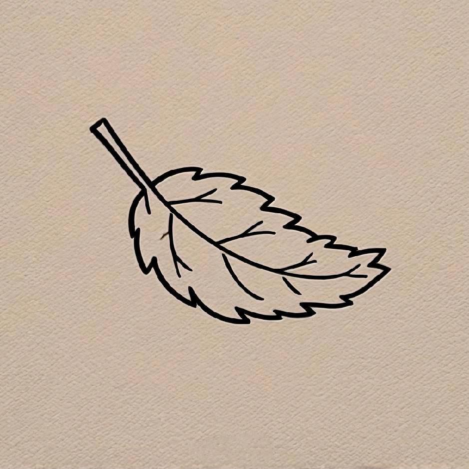 梦芷