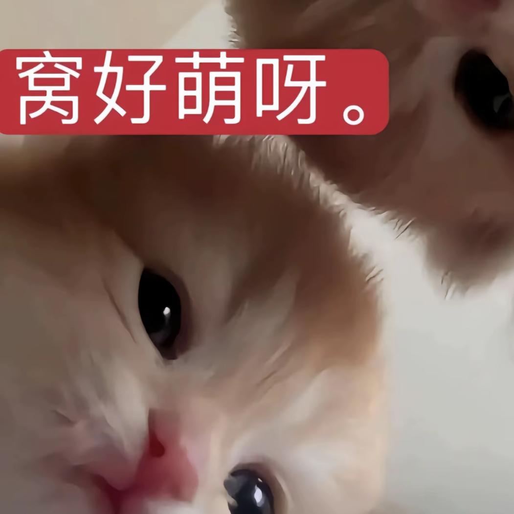 冷泉澪