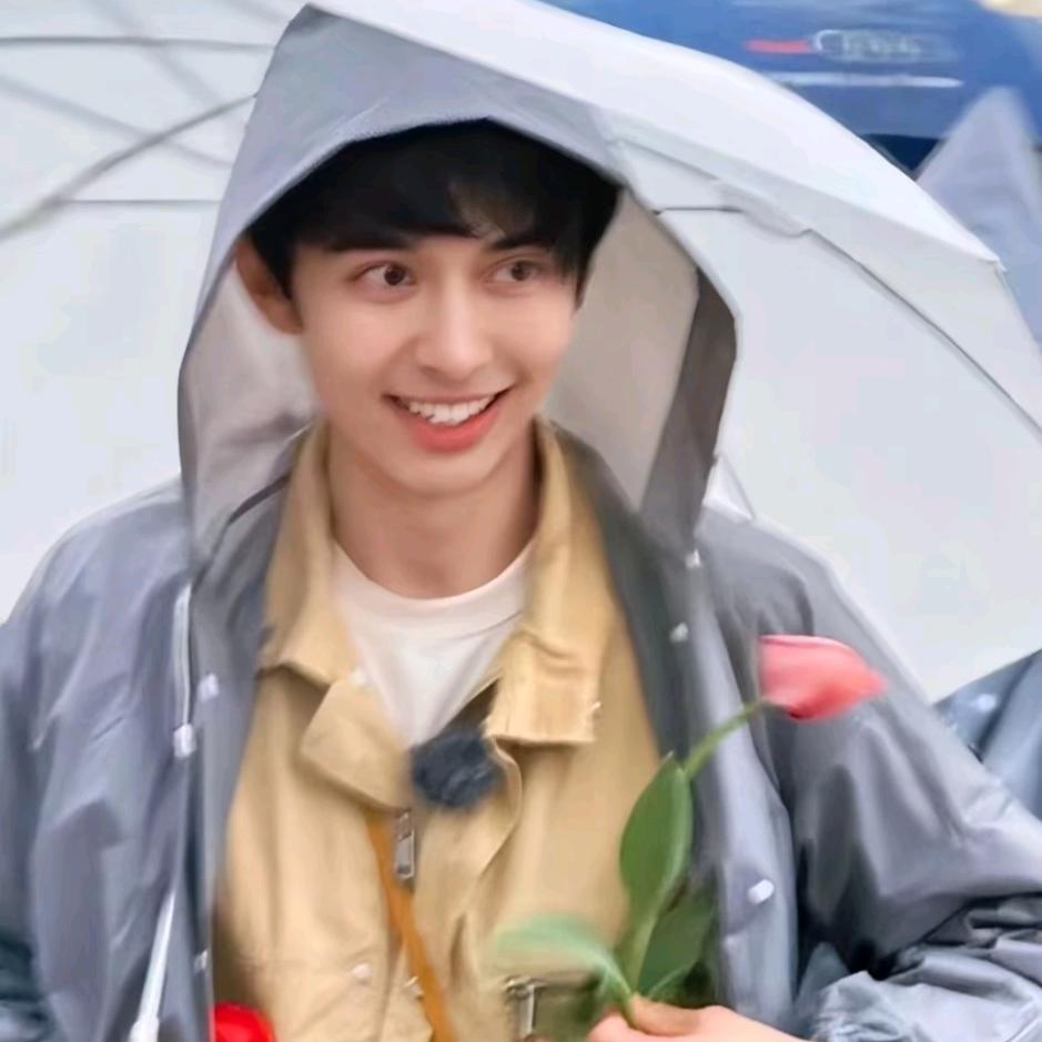 小灰灰