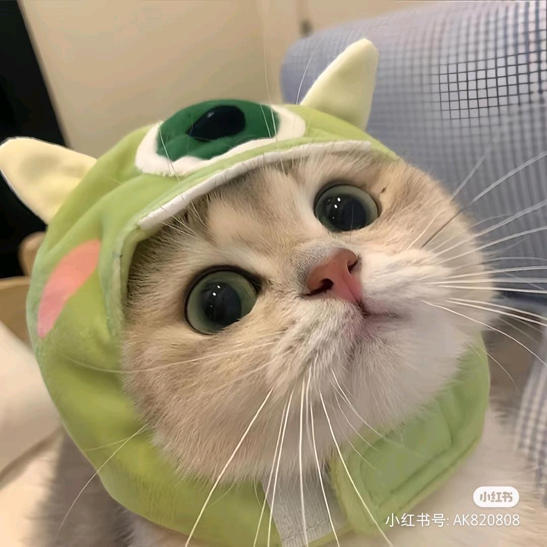 嘟啊嘟
