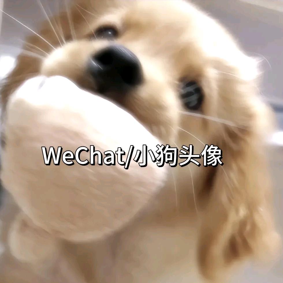 一麻袋开心