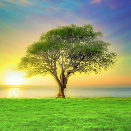 🌈四季发财……