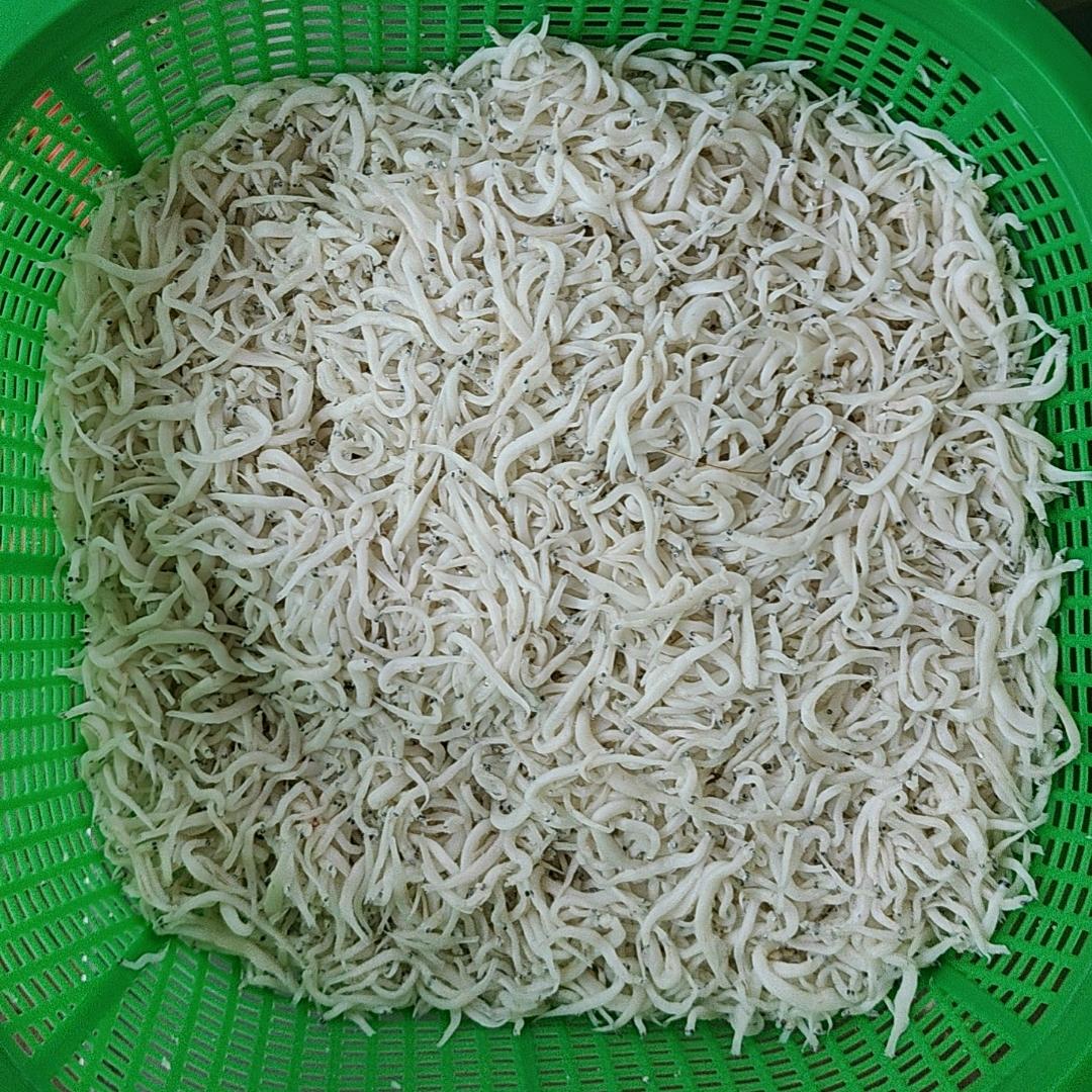 鱼生林乐乐