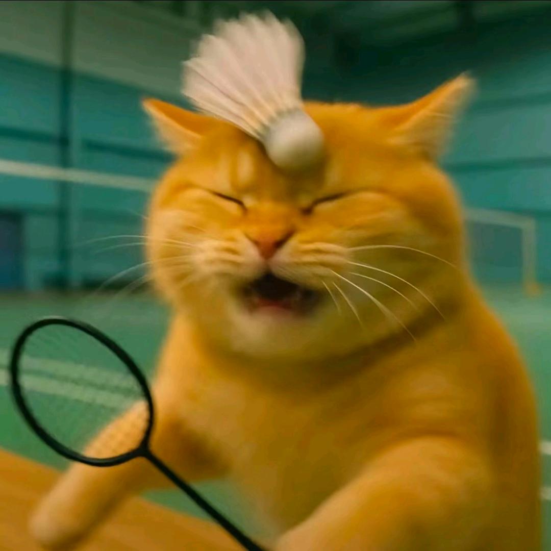 尼小杨（增肌版）