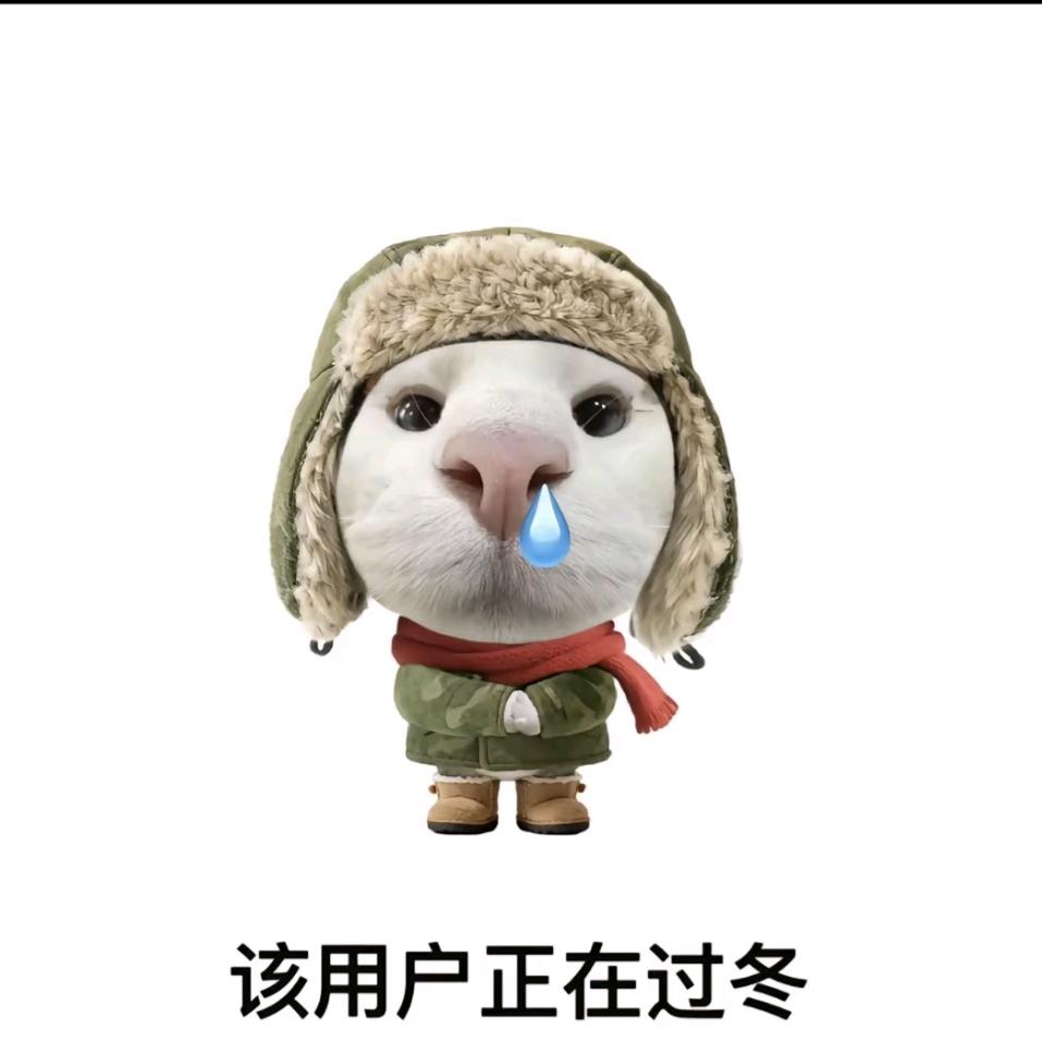 子衿.