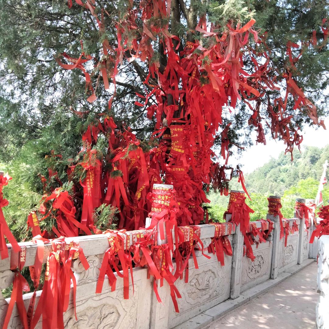 常想一二