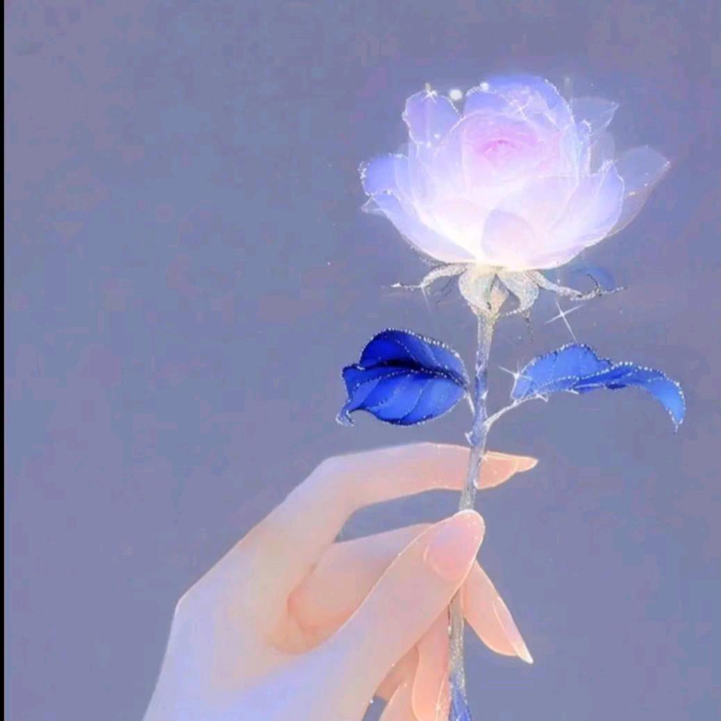 朱栉芯