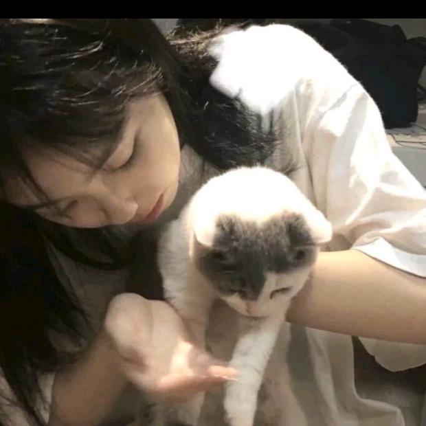 有你真好