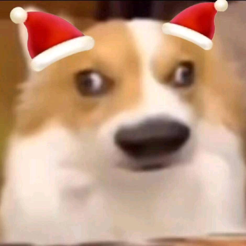 神奇小呆呆