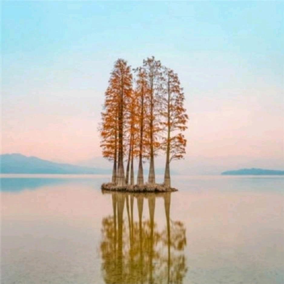 幻墨成烟
