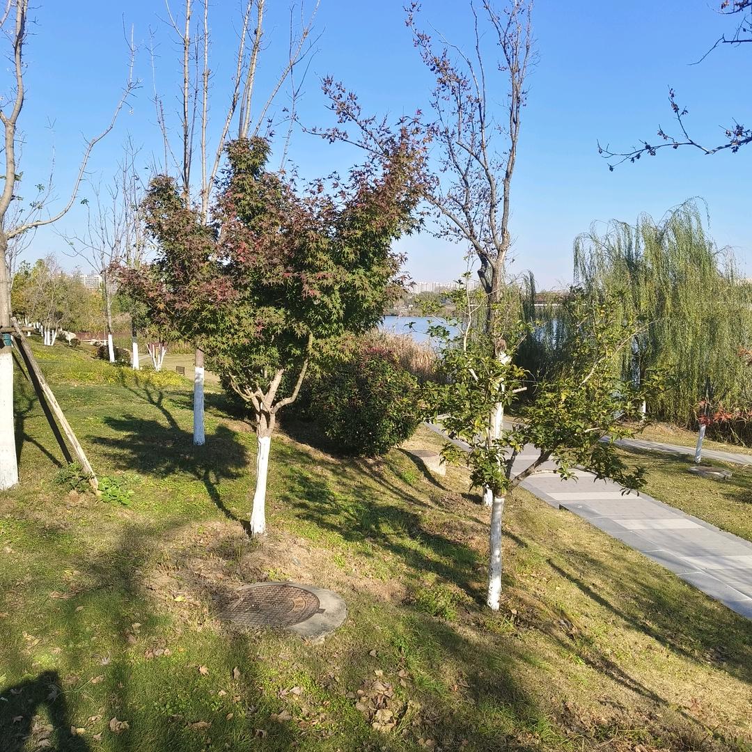 沈哥（抖音用户)