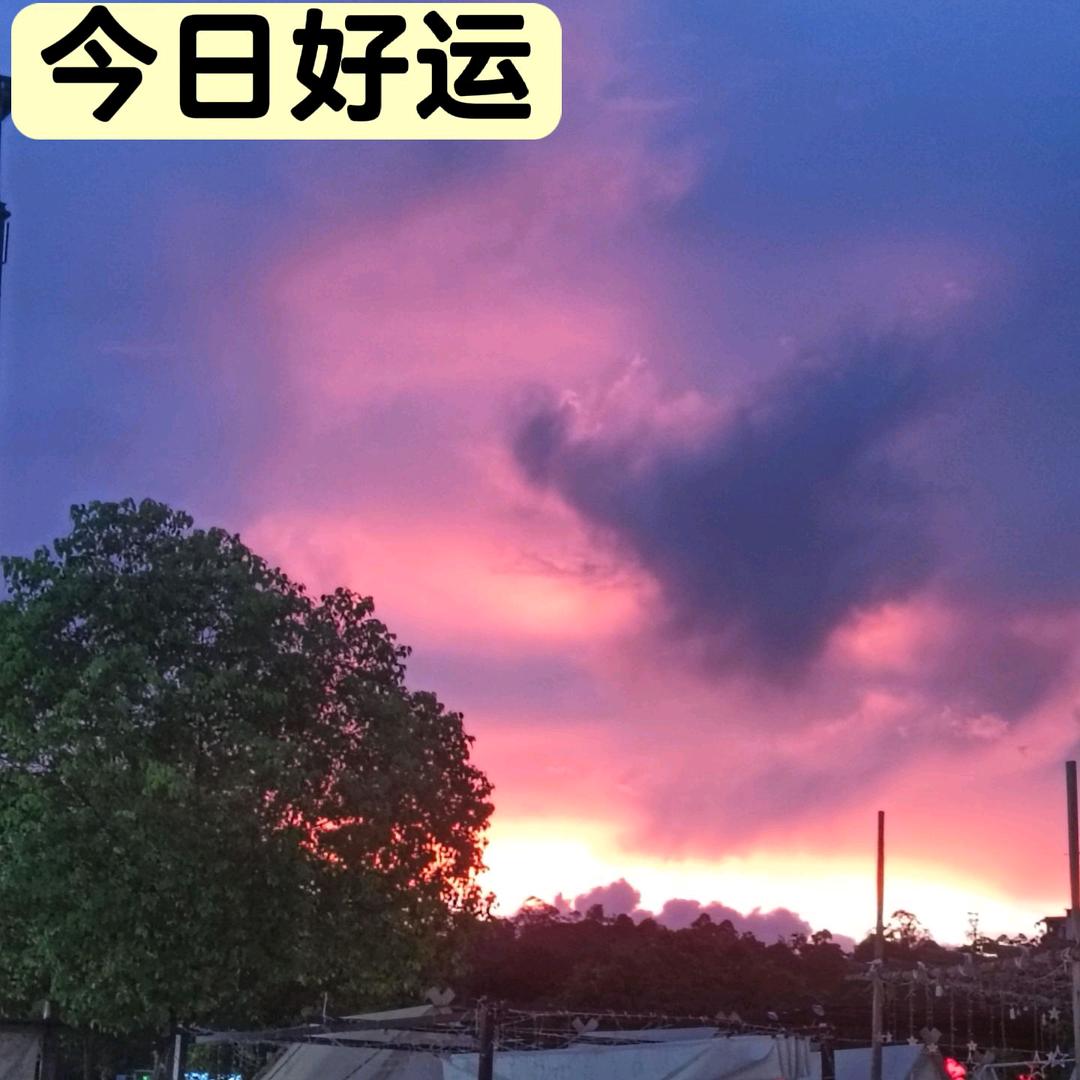 @紫铷爸