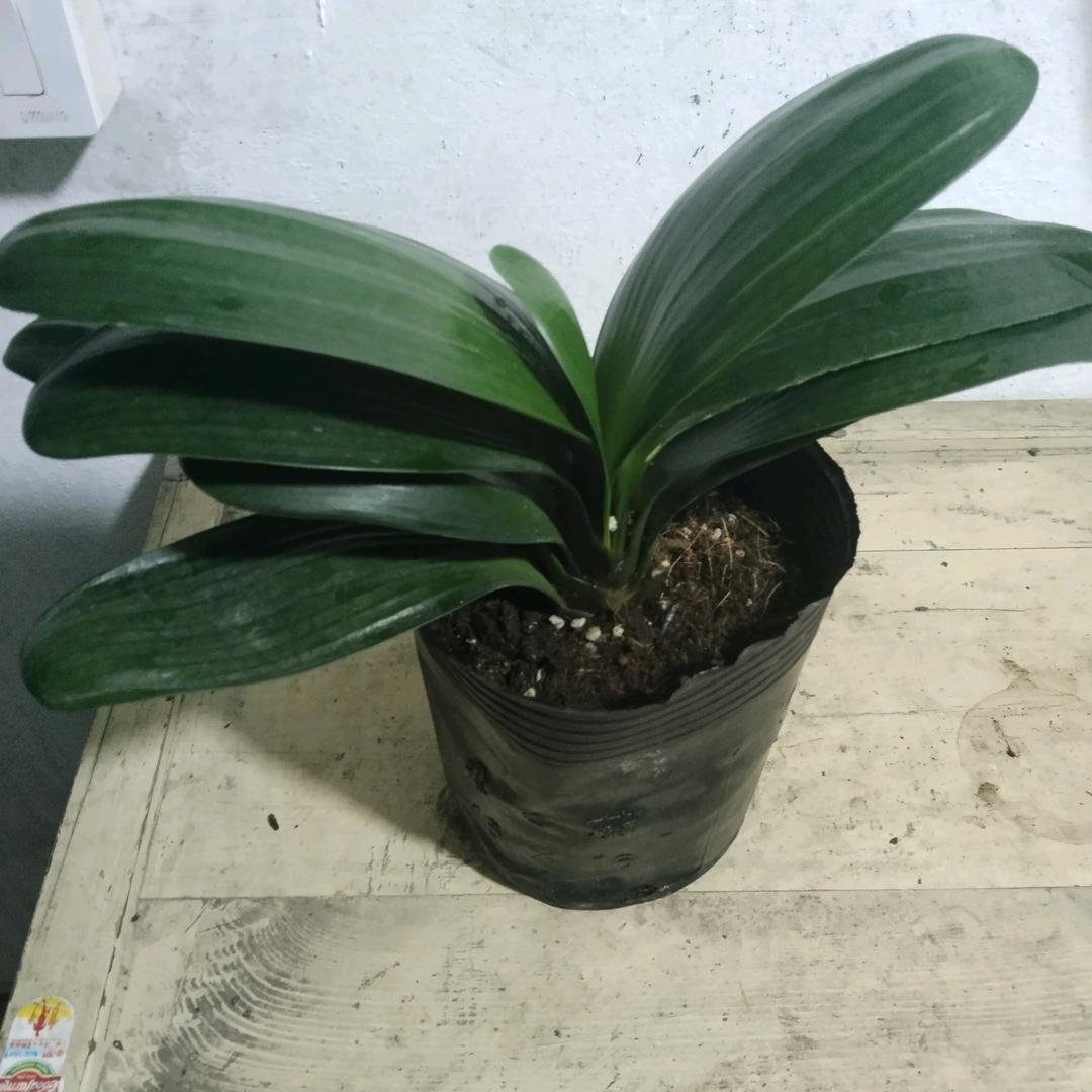 我的痛，谁能懂