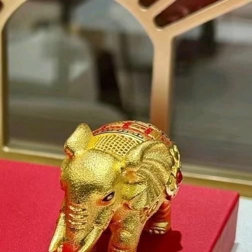 🇨🇳M宝哥(努力版)