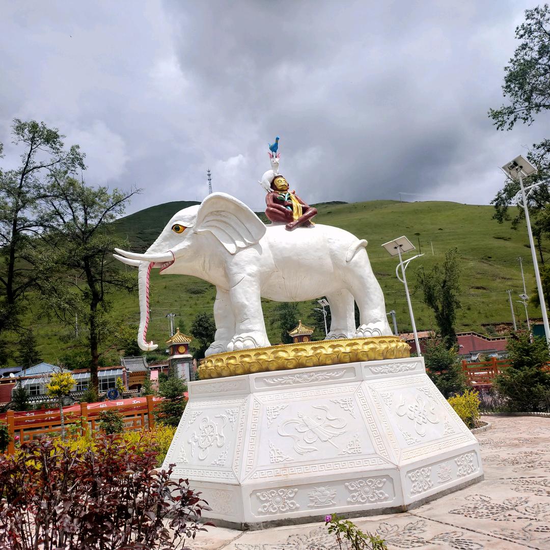 川中龍
