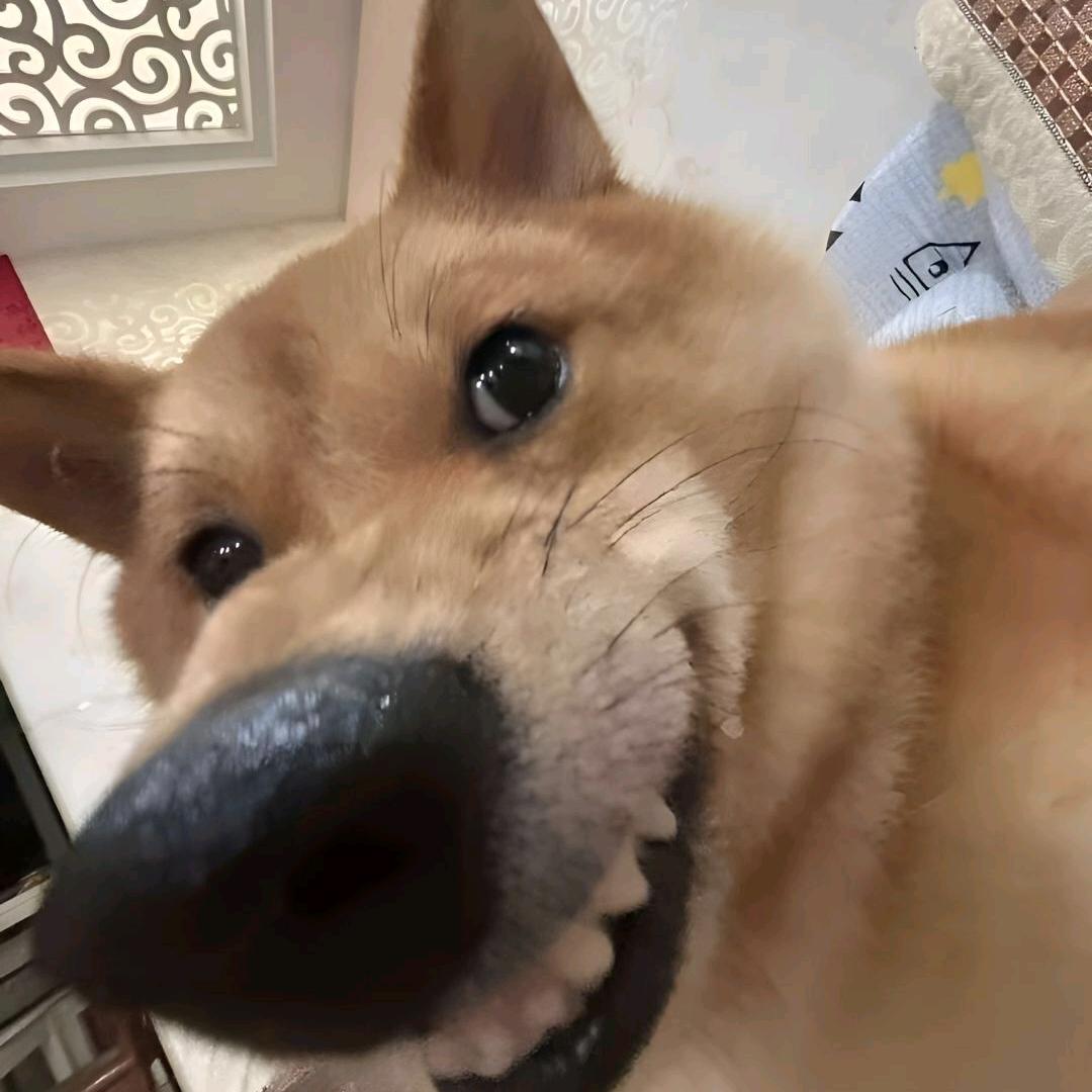 关你什么西红柿