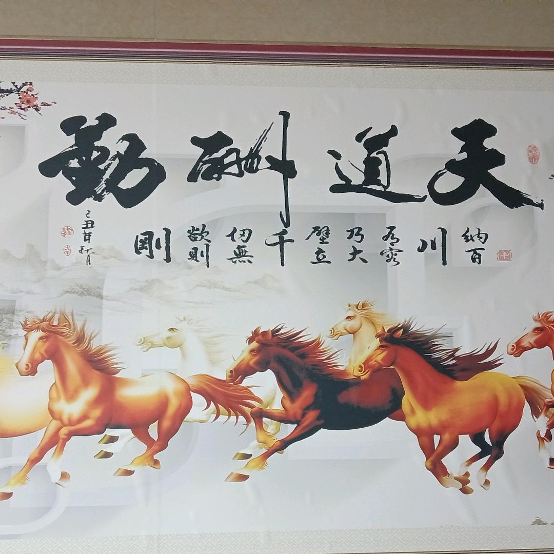 《五哥》