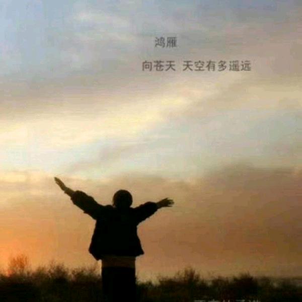 鸿雁