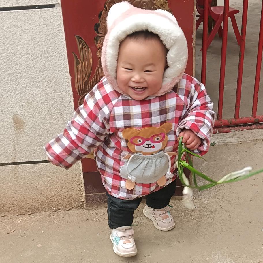 刘雅昕