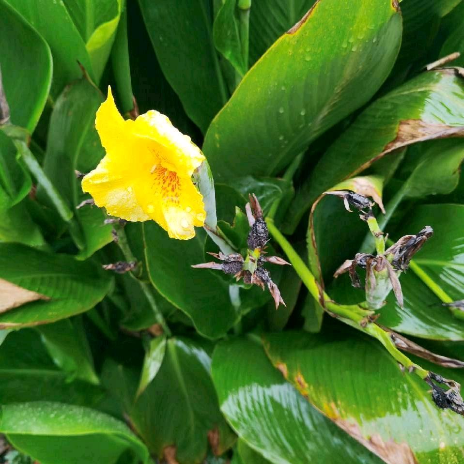 情，好人一生平安