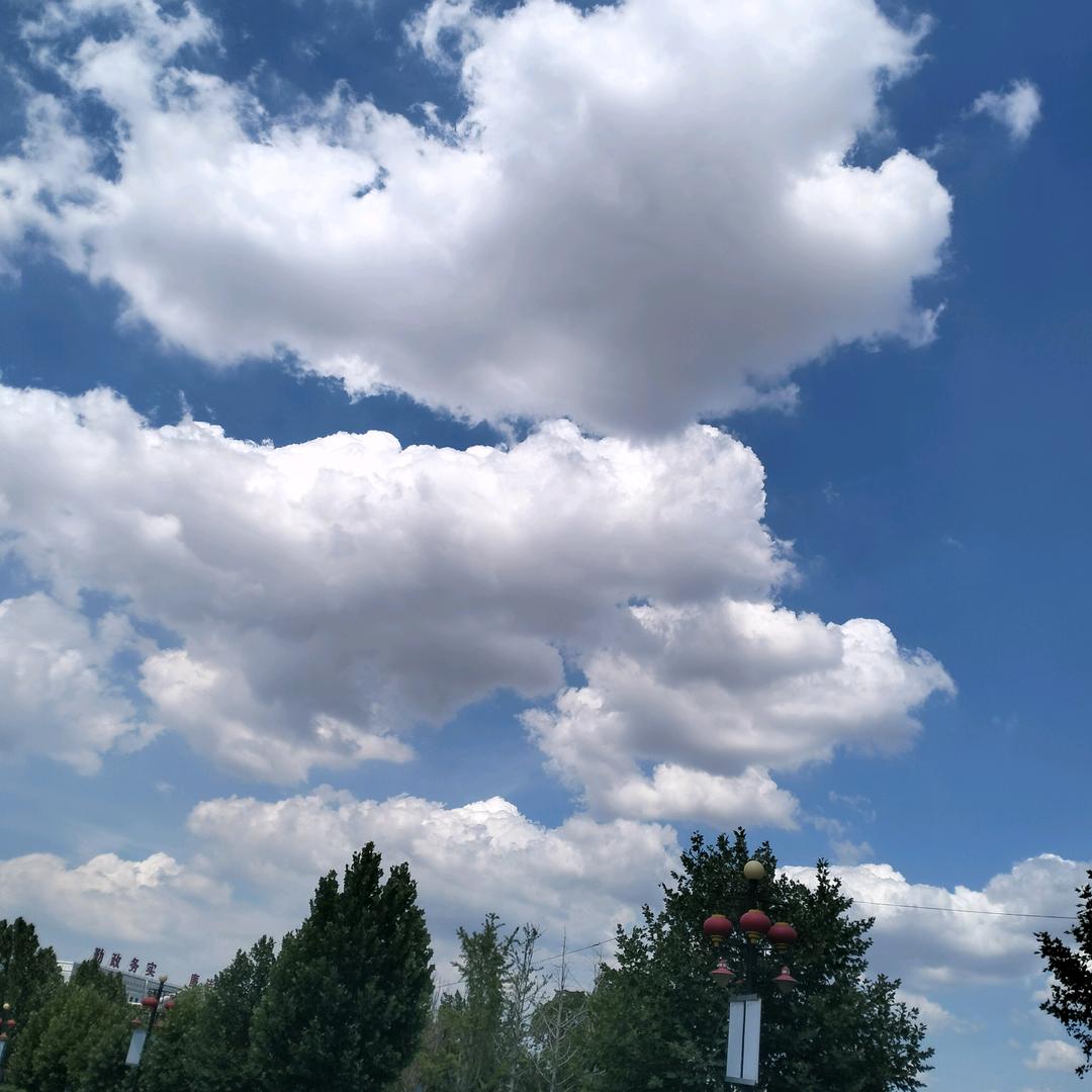 小眼睛红姐/努力版