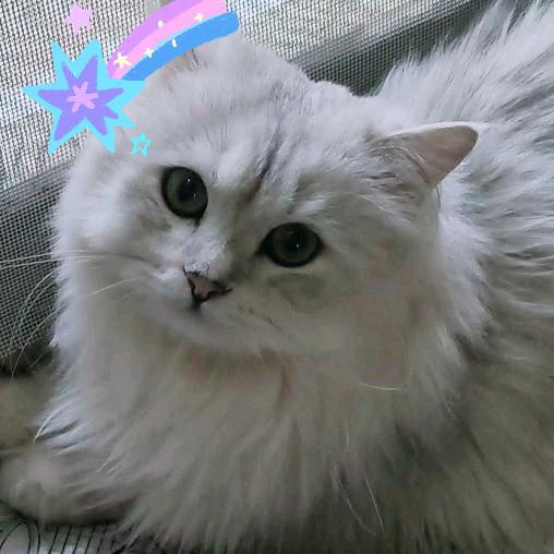 壹~0