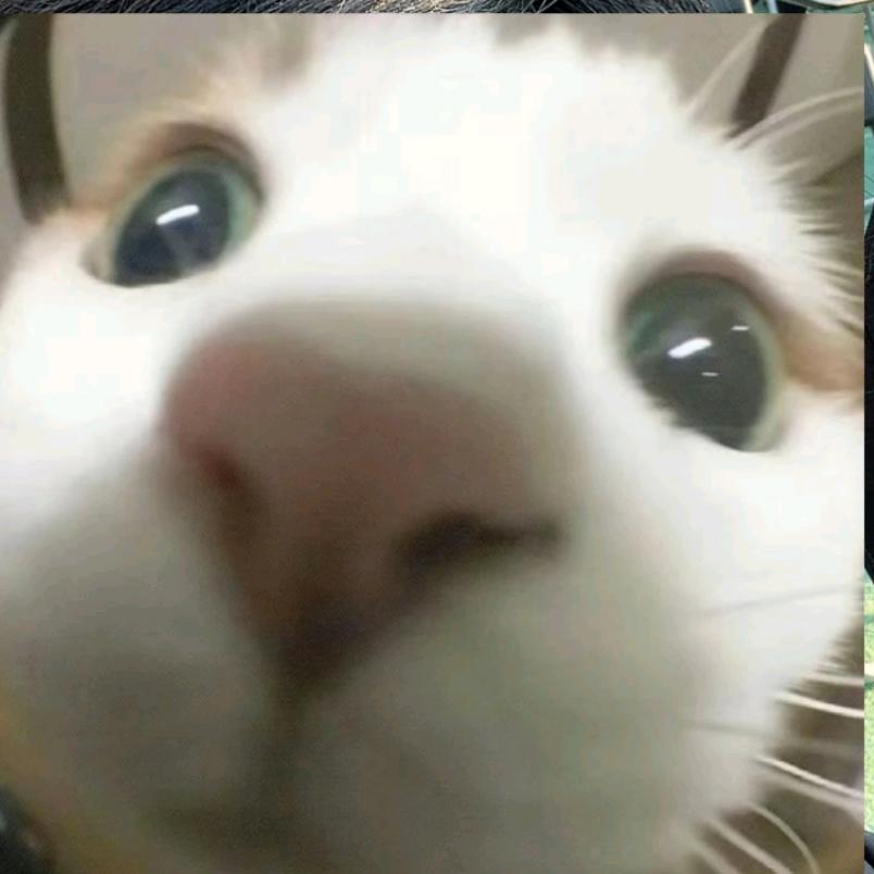 乐天