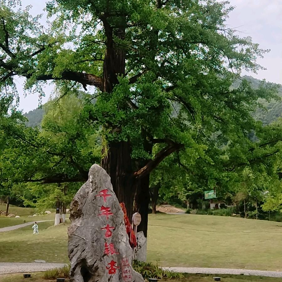 人间自渡客¯(◉‿◉)/¯