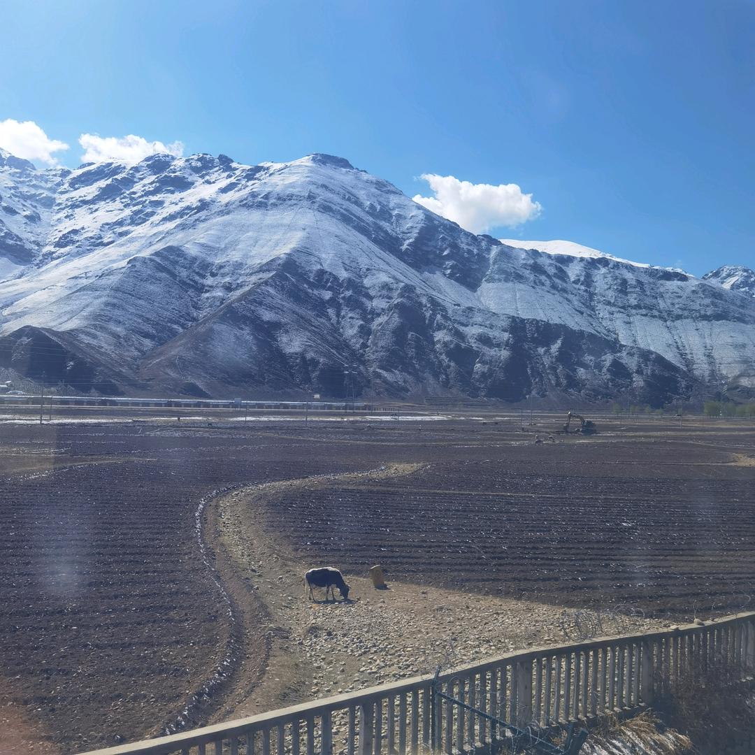 月光菩提（生活记录）