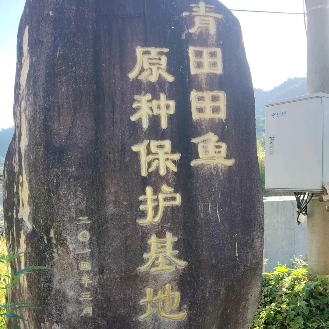 表哥
