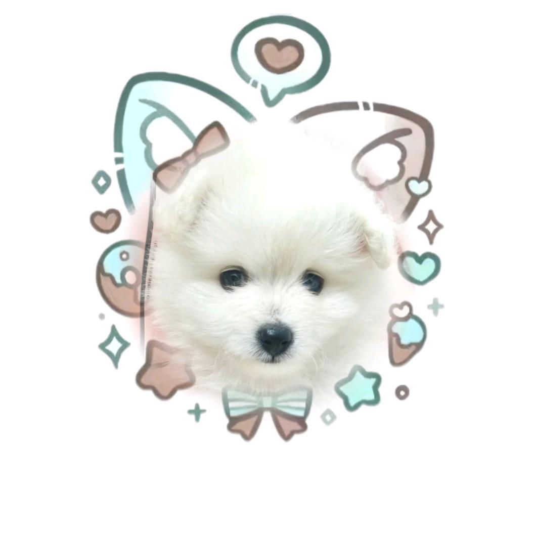 福七欢🐶🐶🐶