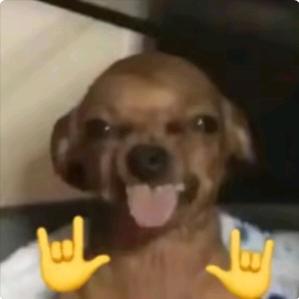 🖕🏻