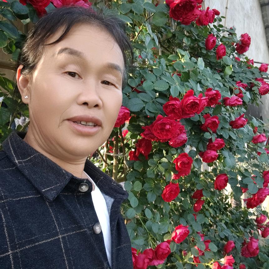 云湖李四姐