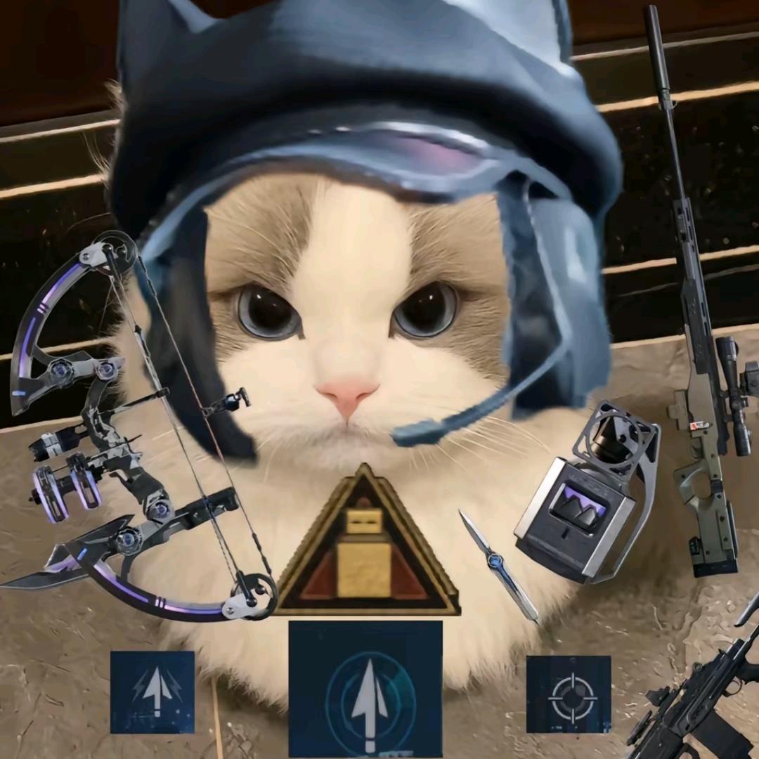 春野樱 [忍界大战]