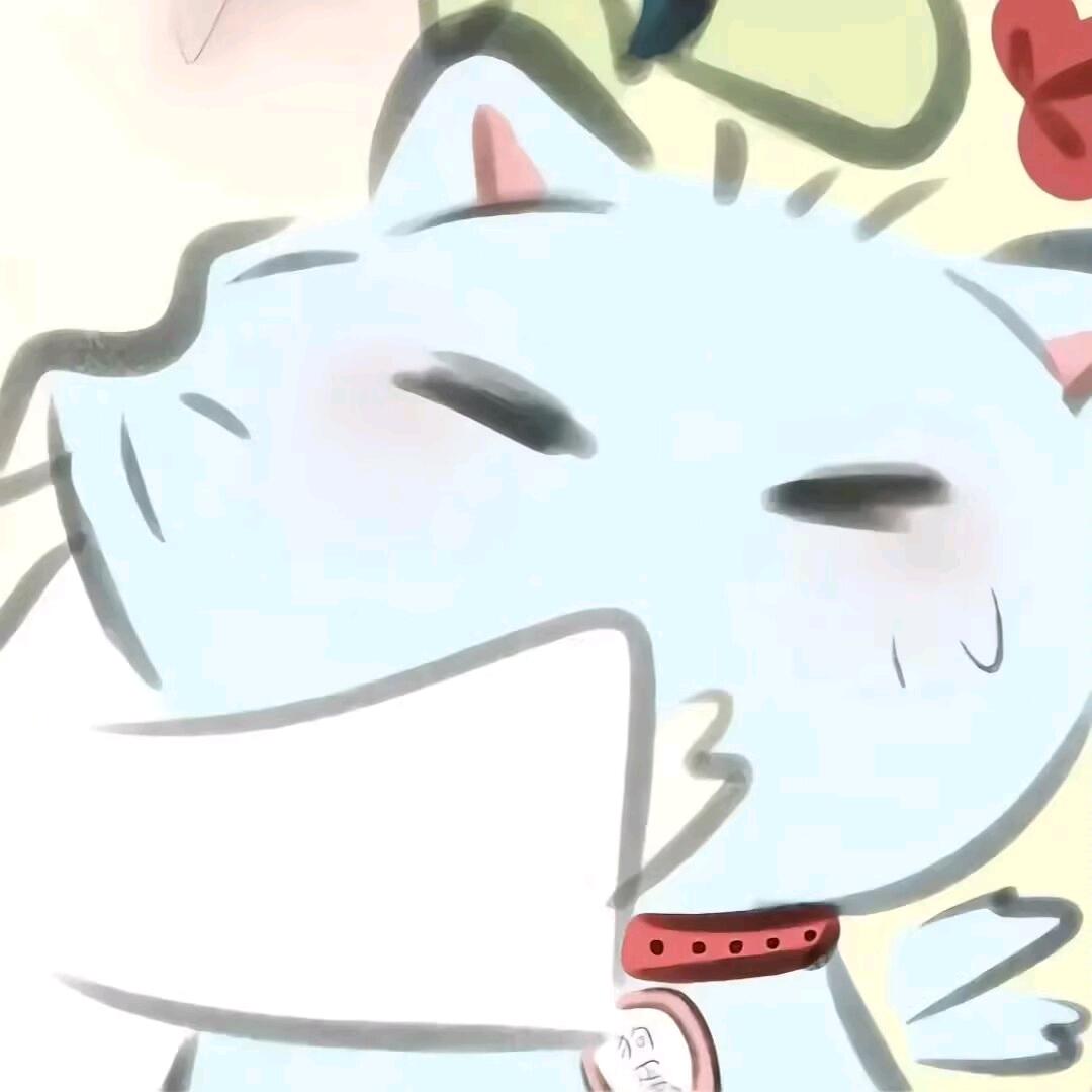 小灰灰是只猫